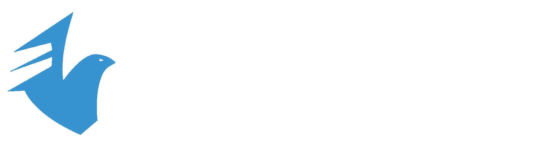 Maas Solutions